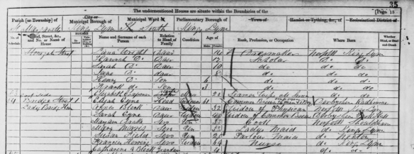 1861 Census Results for Frances Herring